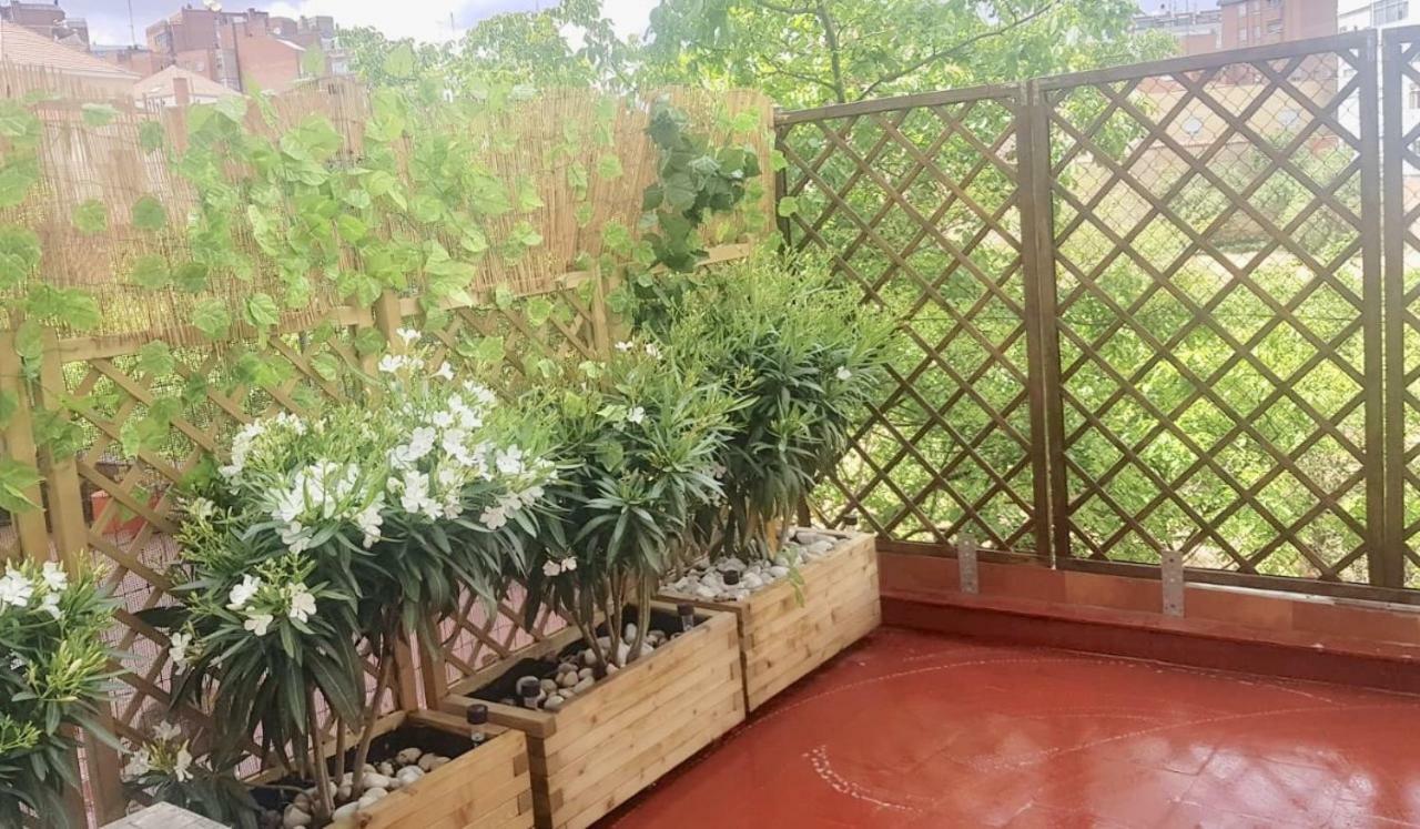 Apartamento San Quirce - céntrico y reformado- wifi y netflix Valladolid Exterior foto